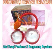 Alat Pengencang Payudara Pembesar Payudara Permanen Fengruqi