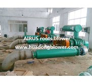 AIRUS roots blower