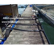 aeration aerator