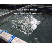 Aerator pump and pompa aerator