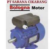 BOLOGNA Electric Motor distributor Italy Licences