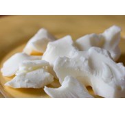 OLEUM CACAO , OLEUM KAKAO , LEMAK COKLAT