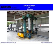 AIRUS biogas roots blower