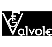 FG Valvole Indonesia