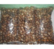 Kelapa Mini 1.000 Biji