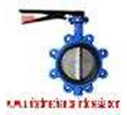 Butterfly Valve