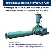 N2 gas booster blower and vacuum pump
