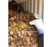 Forwarding Door to Door Services for FCL & LCL Domestic & Overseas