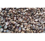 AMBER STONE - RED AND CHERRY COLOUR - ROUGH - NATURAL 