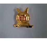 PIN NOTARIS