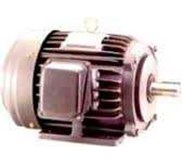 induction Motor LM 