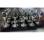 Trophy Timah Cup Kecil