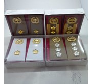 TANDA PANGKAT ASN/PNS