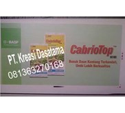 Signage Impraboard