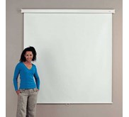 Projector Screen, Screen Proyektor