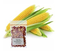 Jirifarm Benih Jagung 