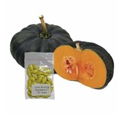 Jirifarm Hidroponik (09235) Labu Kuning 