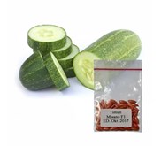 Jirifarm Hidroponik (09301) Benih/Bibit Timun Misano F1 100 butir