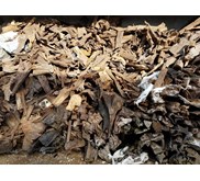 Akar Gaharu Buaya/Roots Gaharu Buaya (Bouya)