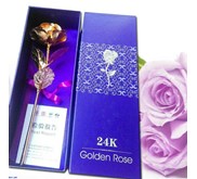 Golden Rose/Golden Flower/Bunga Emas/Mawar Emas