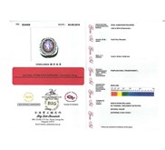 Purple Safir Star NH