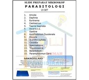 Mikroslaid (Slide Preparat) Mikroskop Parasitologi (Isi 30 Slide)