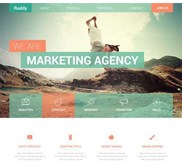 Website Company Profile