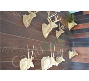 Kepala Kijang Medium (Kayu Oak) By CantiKayu