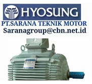 Hyosung Electric AC Motor High Medium Voltage