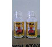 Basileum 505 EC