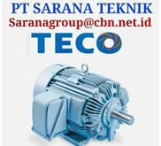 Teco Electric AC Gear Motor