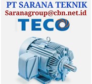 Teco Motor