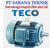Teco Motor