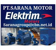 Sell Elektrim Cantoni Motor - PT Sarana Motor AC