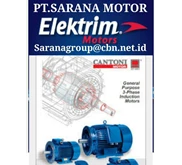 AC Motor Elektrim Cantoni Motor PT Sarana Motor