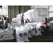 kacang Kedelai Impor USA Harga Murah