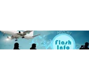 Airport Flash Info