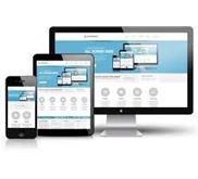 Paket Website