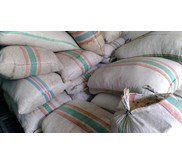 Sisik Ikan Kakap dan Sisik Proses / Raw Material Collagen Surabaya