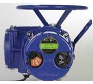 Rotork Jordan LA-2450-D-19-2/800-6D047-H000