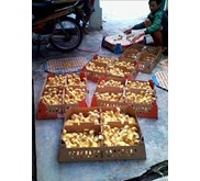 Dod Bebek Peking F1