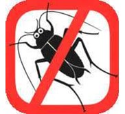 Pest Control Cockroaches Control (Kecoa)
