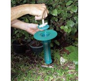 pest control Termite Control Specialist (Rayap)