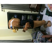 Maskot kostum badut SMANDA