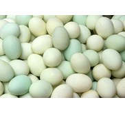 Telur telor bebek itik Palopo luwu timur sulawesi selatan