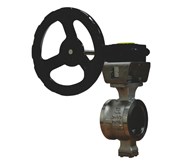 KAMIZAWA | KZVS-PN16-1.4408 | Segment Ball Valve, 1.4408, Wafer, PN16