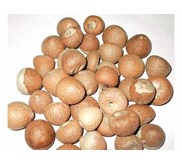 Sell Betel Nut from Tana toraja Indonesia