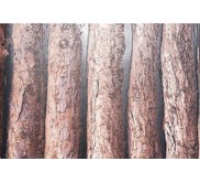 Wallpaper Dinding Kayu, Wallpaper Dinding Motif Kayu