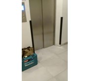 CORNER GUARD PVC