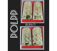 Pangkat PDU Satpolpp untuk Bupati